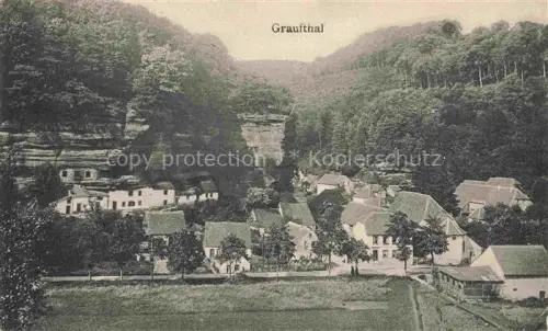 AK / Ansichtskarte Graufthal Grauftal Eschbourg 67 Bas Rhin Panorama