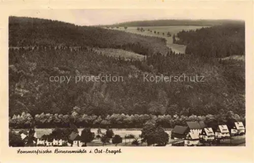 AK / Ansichtskarte Bienenmuehle Rechenberg Osterzgebirge Panorama