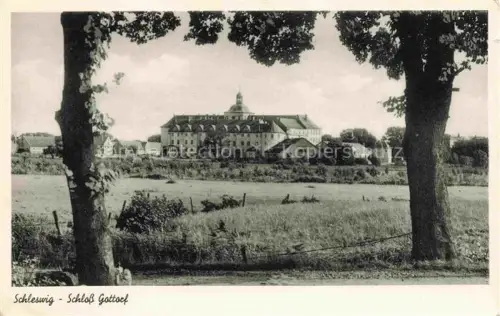 AK / Ansichtskarte Schleswig Schlei Erfde Schleswig-Holstein Schloss Gottorf