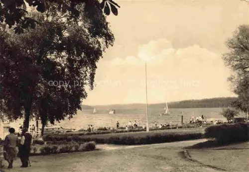 AK / Ansichtskarte Altenhof Werbellinsee Barnim Brandenburg Seepanorama