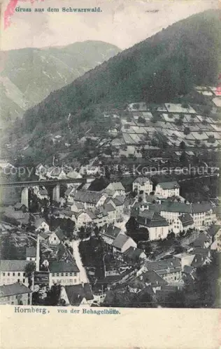 AK / Ansichtskarte Hornberg  Schwarzwald BW Panorama Blick von der Behagelhuette