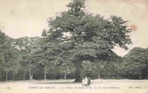 AK / Ansichtskarte Foret de Senart EssONNE EVRY 91 Essonne Le Chene d'Antin de circonference
