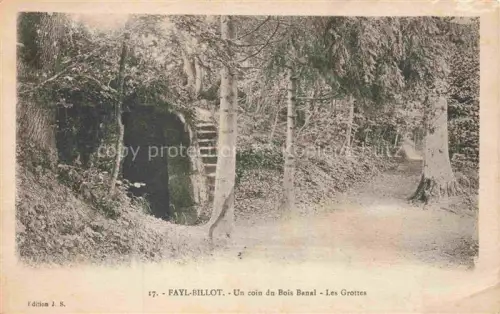 AK / Ansichtskarte Fayl-Billot 52 Haute-Marne Un coin du Bois Benal Les Grottes