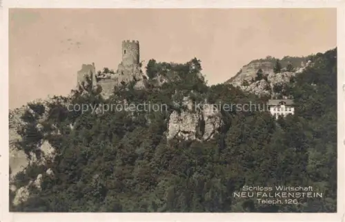AK / Ansichtskarte Neu-Falkenstein SO Schloss Wirtschaft Ruine