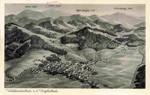 AK / Ansichtskarte Waldmuenchen Cham Bayern Panoramakarte