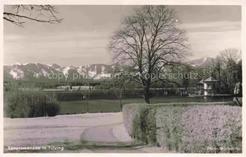 AK / Ansichtskarte Tutzing Starnberger See Bayern Seepromenade