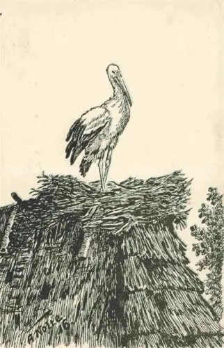 AK / Ansichtskarte GALIZIA_Fede_Kuenstlerkarte Storch Stork Cigogne 
