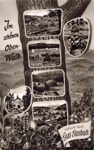 AK / Ansichtskarte Gras-Ellenbach Grasellenbach Bergstrasse Hessen Teilansicht Siegfriedbrunnen Kneippbad Heinrich Gluecklich Haus Ulfenbachtal