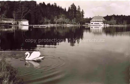 AK / Ansichtskarte Lindenberg Allgaeu Waldsee mit Waldseehotel 