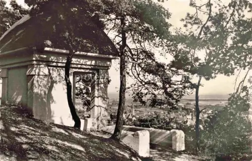 AK / Ansichtskarte Hofheim Taunus Hessen Cohausentempel