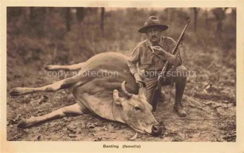 AK / Ansichtskarte Banting Vietnam Jagd erlegtes Tier