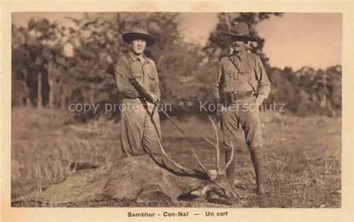 AK / Ansichtskarte Sambuhur Vietnam Con-Nai un cerf Jagd