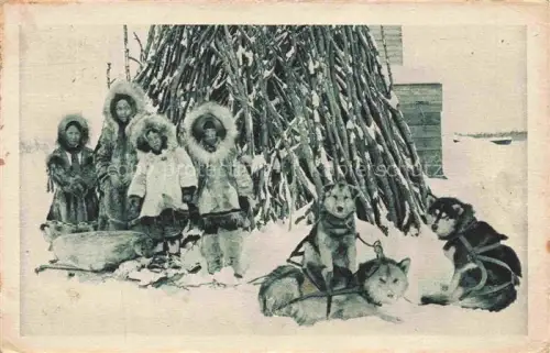 AK / Ansichtskarte Alaska USA Le Frigo à l'Alaska Schlittenhunde