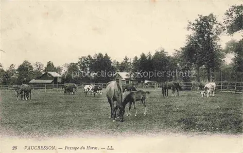 AK / Ansichtskarte Vaucresson Boulogne-Billancourt 92 Hauts-de-Seine Paysage du Haras des chevaux Pferdekoppel