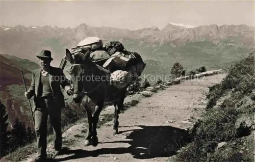 AK / Ansichtskarte Chandolin Sierre VS Transport à mulet Alpes