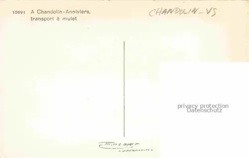 AK / Ansichtskarte Chandolin Sierre VS Transport à mulet Alpes