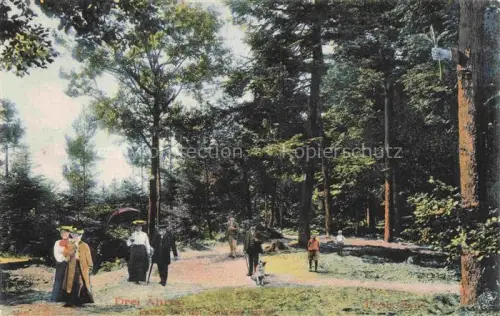 AK / Ansichtskarte Trois-Epis Drei-aehren 68 Haut-Rhin Waldspaziergang