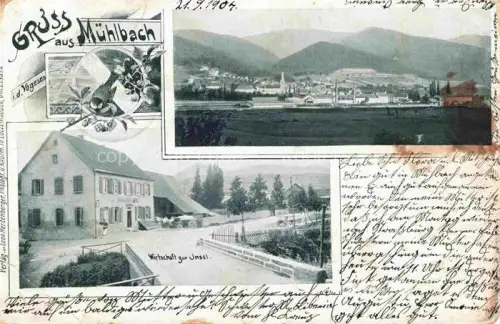 AK / Ansichtskarte Muhlbach-sur-Munster 68 Haut-Rhin Panorama Wirtschaft zur Insel