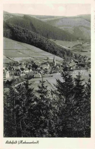 AK / Ansichtskarte Boedefeld Panorama