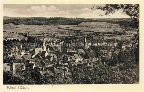 AK / Ansichtskarte Erbach  Odenwald Hessen Panorama