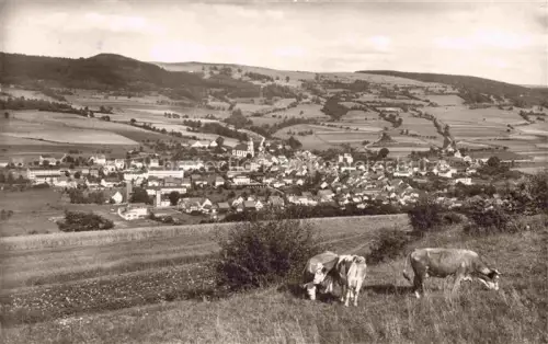 AK / Ansichtskarte Hilders Rhoen Blick auf Buchschirmkueppel