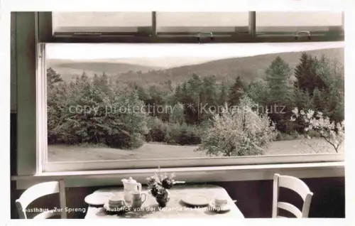 AK / Ansichtskarte Michelstadt Odenwald Hessen Gasthaus Zur Spreng Blick ins Muemlingtal