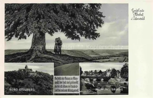 AK / Ansichtskarte Hoechst Odenwald Hessen Grosser Baum Burg Breuberg Muemling Bruecke
