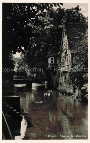 AK / Ansichtskarte Erbach  Odenwald Hessen Partie an der Muemling