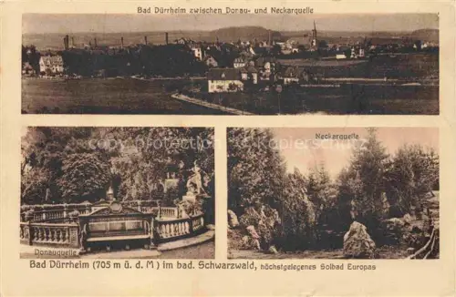 AK / Ansichtskarte Bad Duerrheim BW Panorama Donauquelle Neckarquelle