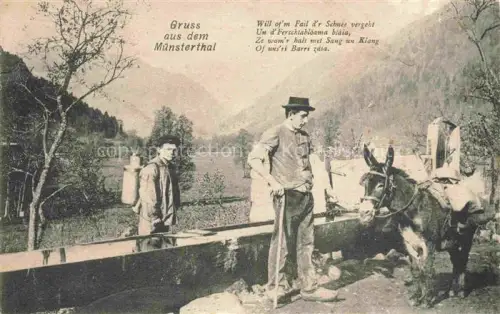 AK / Ansichtskarte Muensterthal Elsass Munster 68 Alsace Haut-Rhin Bauern Esel Lasttier