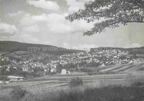 AK / Ansichtskarte Wickenrode Helsa Hessen Panorama