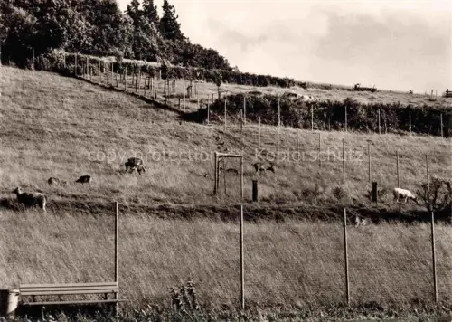 AK / Ansichtskarte Kirchheim Hessen Teilansicht