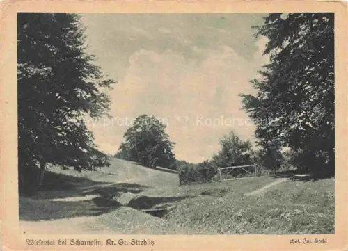 AK / Ansichtskarte Scharnosin Czarnocin Lesnica Leschnitz Gross-Strehlitz PL Wiesental