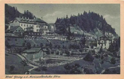 AK / Ansichtskarte Goesing Puchenstuben Mariazellerbahn Niederoesterreich AT Hotel Goesing an der Mariazellerbahn