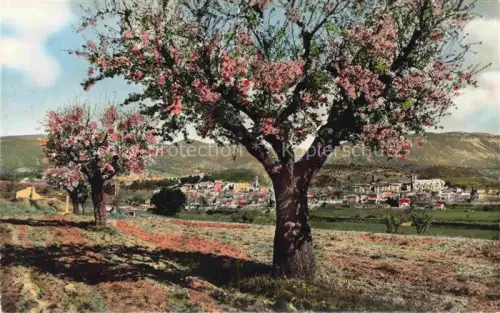 AK / Ansichtskarte Cucuron APT 84 Vaucluse Les Amandiers en fleurs