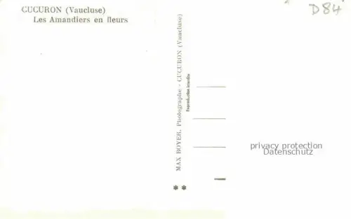 AK / Ansichtskarte Cucuron APT 84 Vaucluse Les Amandiers en fleurs