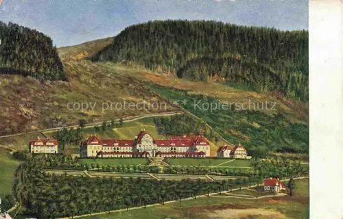 AK / Ansichtskarte Schirmeck Molsheim 67 Bas-Rhin Genesungsheim Gedicht Kuenstlerkarte