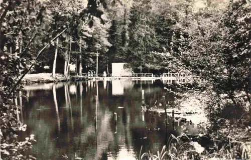 AK / Ansichtskarte Belleme Mortagne-au-Perche 61 Orne L'Etang de la Herse