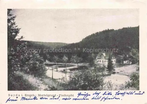AK / Ansichtskarte Sayda Mortelgrund Fischzucht