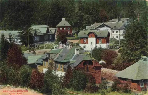 AK / Ansichtskarte Bad Karlsbrunn Schlesien Karlova Studanka CZ Teilansicht
