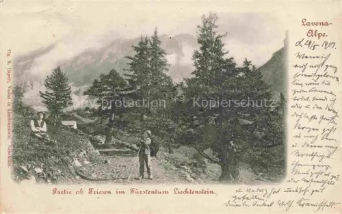 AK / Ansichtskarte Triesen Liechtenstein FL Lavena-Alpe