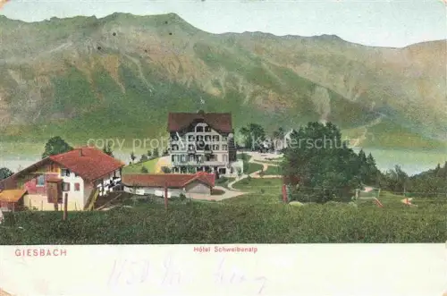 AK / Ansichtskarte Giesbach Giessbach Brienzersee BE Panorama Hotel Schweibenalp