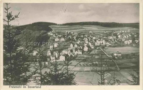 AK / Ansichtskarte Freienohl Sauerland Meschede NRW Panorama