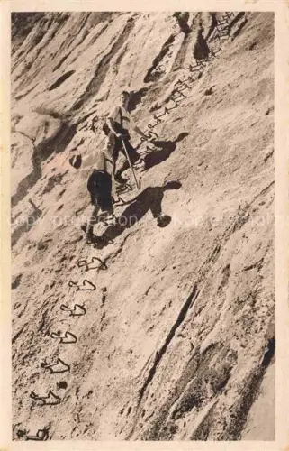 AK / Ansichtskarte Bergsteigen Klettern Mountaineering Alpinisme Alpinismo-- Zugspitze Hoellental An der Leiter 