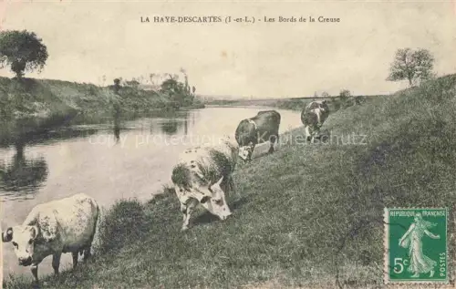 AK / Ansichtskarte La Haye-Descartes Loches 37 Indre-et-Loire Les bords de la Creuse