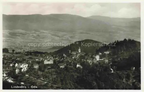AK / Ansichtskarte Lindenfels Odenwald Hessen Fliegeraufnahme