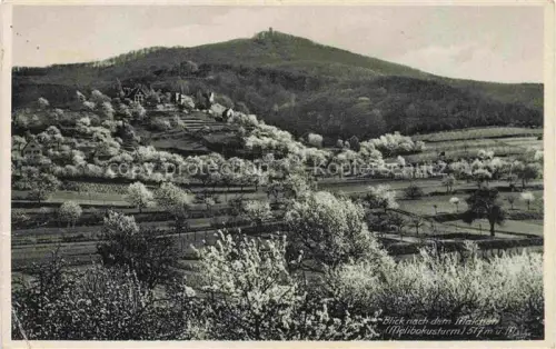 AK / Ansichtskarte Malchen Seeheim-Jugenheim Hessen Melibokusturm Panorama