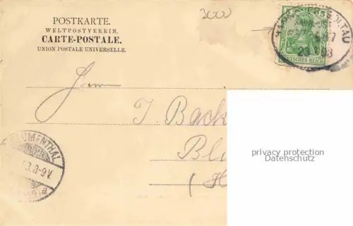 AK / Ansichtskarte Herrenhausen HANNOVER Palmenhaus