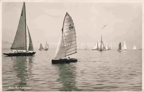 AK / Ansichtskarte Segelboote Segelschiffe Sailing Voile Vela-- Am Bodensee