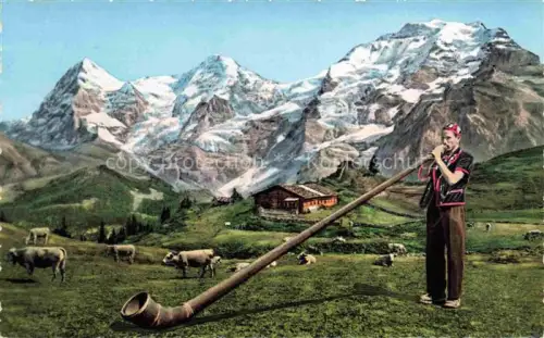 AK / Ansichtskarte Alphorn Cor des Alpes-- Blaeser Kuehe Photoglon Nr. 51 